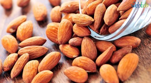 عسل البرسيم